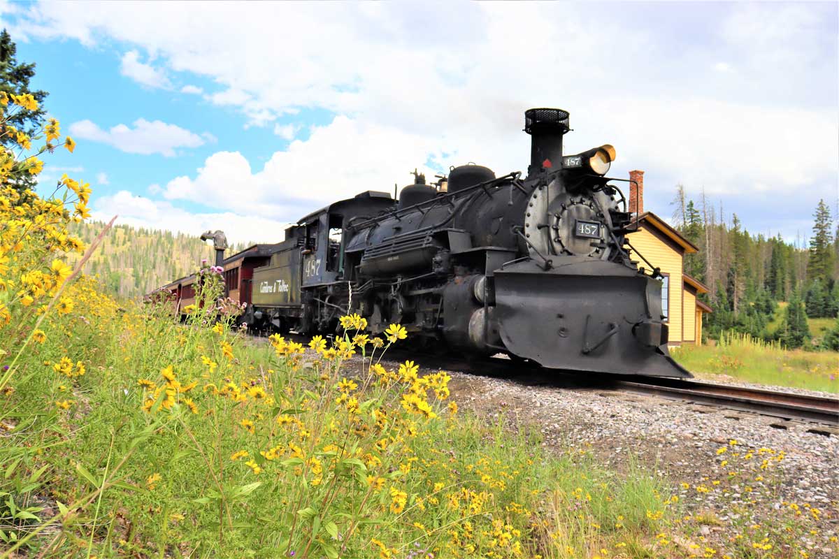 Black train with yellow mountain flowers in the foreground