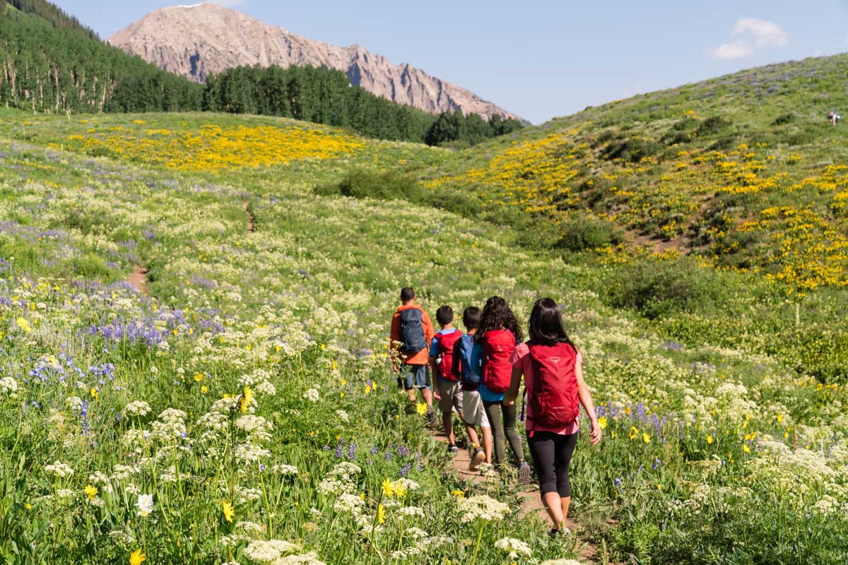 A family walks along a wildflower-strewn trail in the Colorado backcountry, with a grey peak rising in the distance. They are all wearing red backpacks and walking away from the camera.