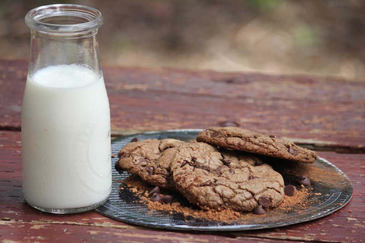 A plate of chocolate cookies next to a jar of milk