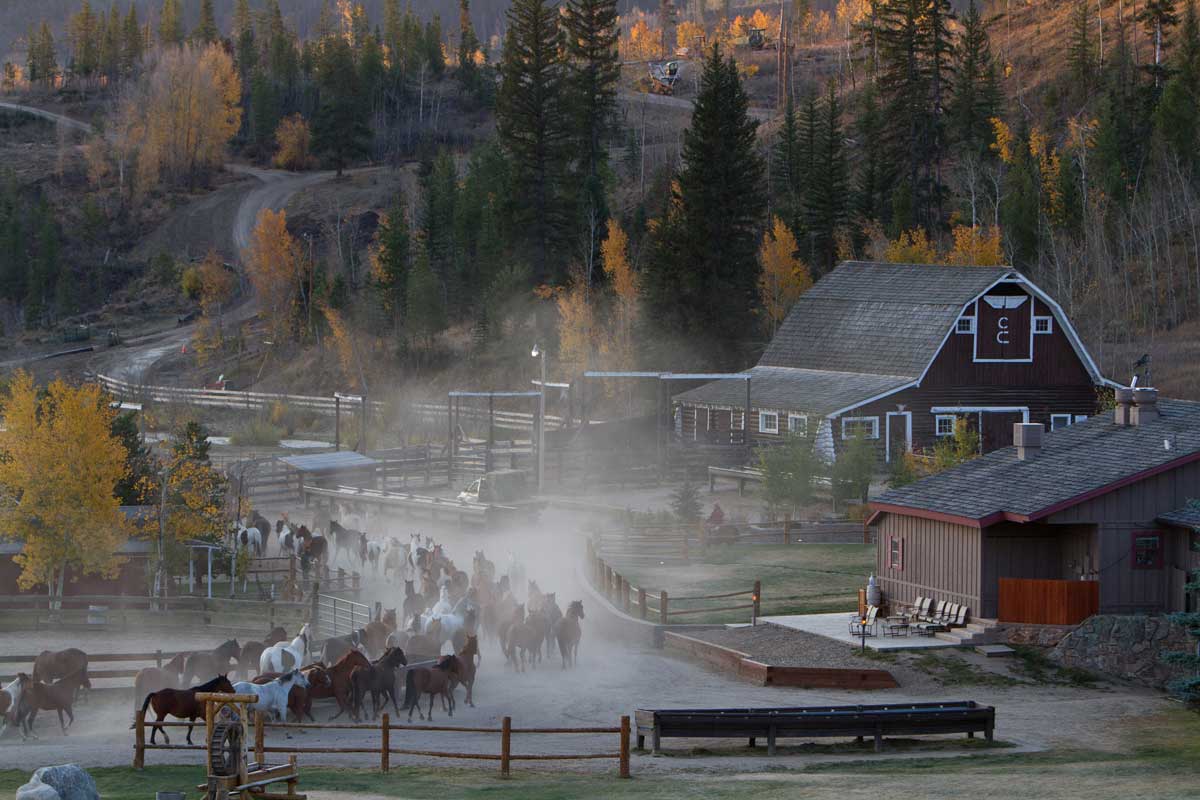 Horses trot into C Lazy U Ranch during a misty morning with the barn in the background