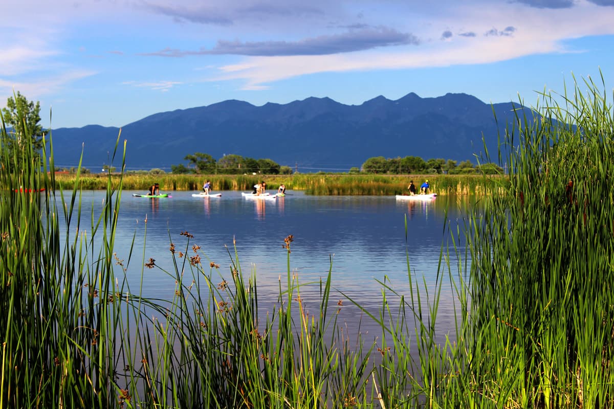 Several people paddleboarding  on a lake at Blanca Vista Park in Alamosa Colorado with tall grasses surrounding and mountains in the background