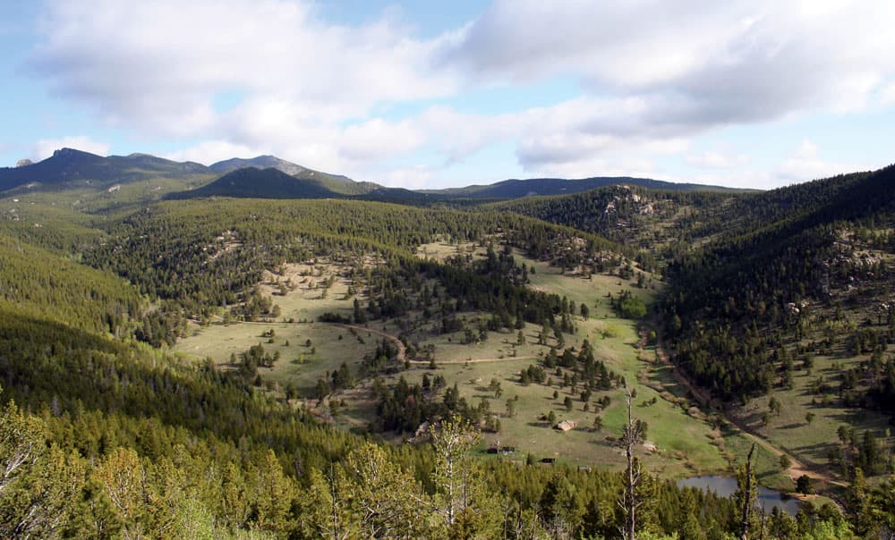 A vast, rolling green meadow sits below gray peaks