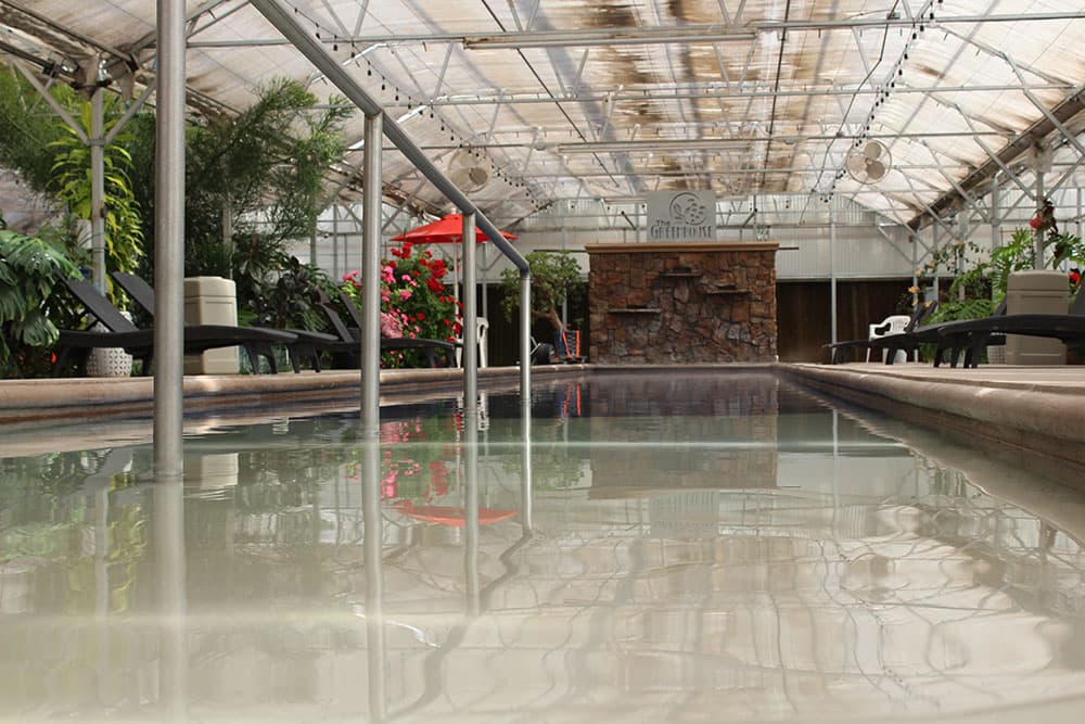 Plants surround the water at the indoor Sand Dunes Recreation Pool