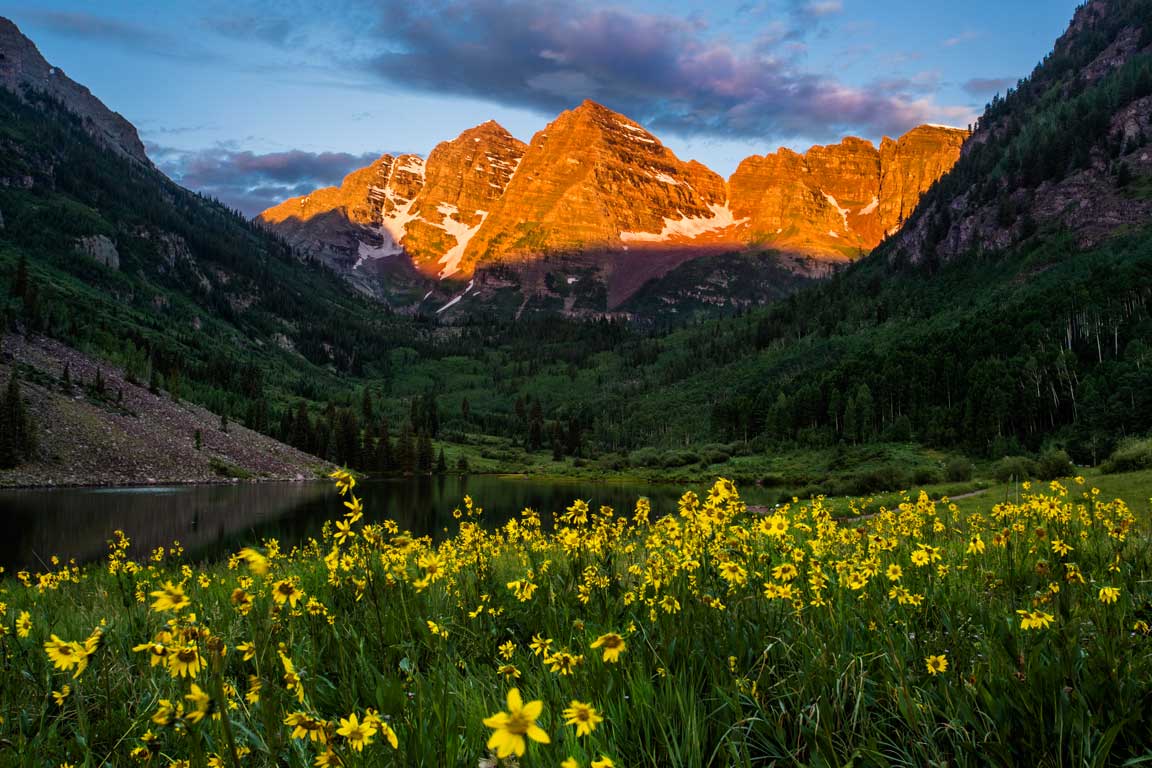 The peaks of the Maroon Bells are colored orange-red as the sun shines on them near Snowmass. Bright yellow flowers cover a field in the foreground.