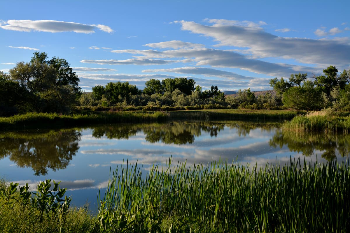 A glassy lake reflects the blue sky and white clouds at Rangely Camper Park.