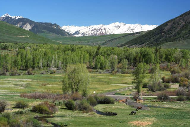 In Almont, a green field with two horses grazing is covered in green trees with a bright-blue sky. The mountains in the far back are covered in snow but it's summer.