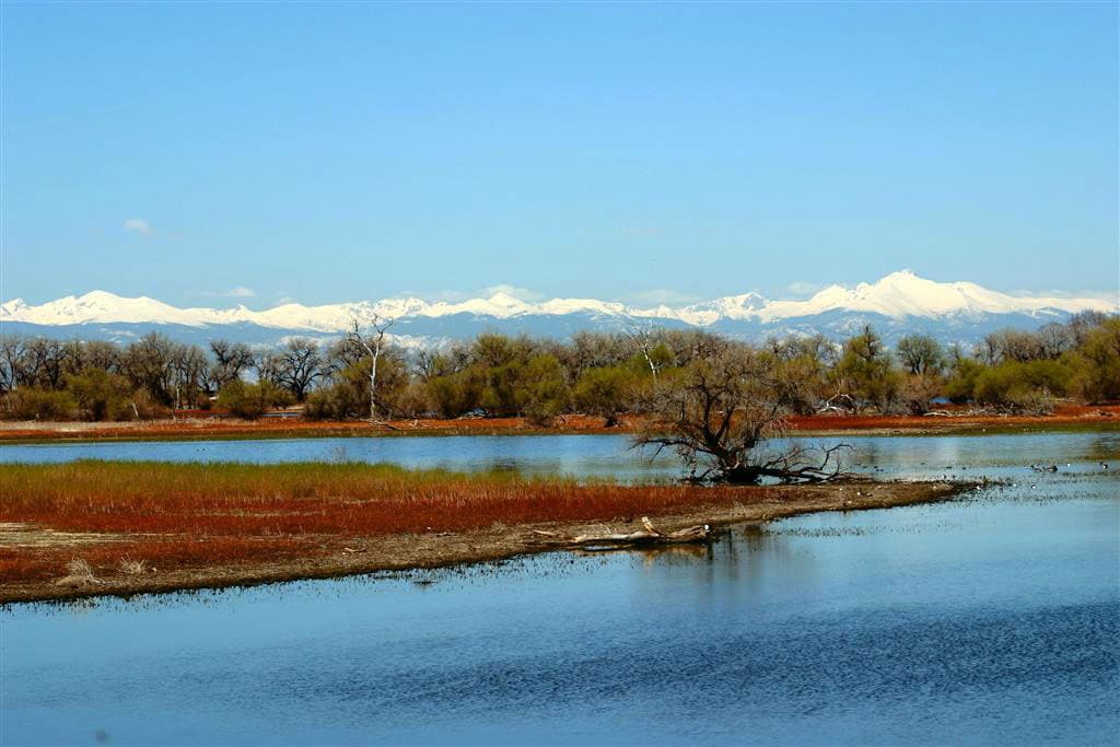 The surface of Barr Lake is blue, reflecting the blue sky and there are trees with green leaves in the background and further back the snow-capped Front Range sits.