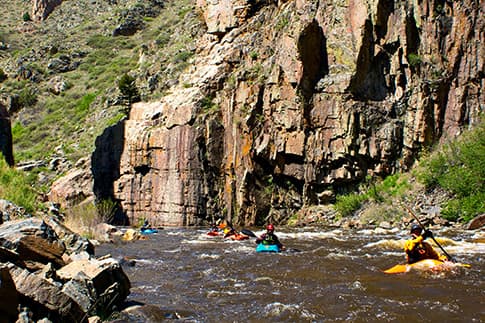 Multiple colorful whitewater kayaks tackle the Cache la Poudre river. In the background, sheer rock walls fall straight into the water with tufts of green grass all around.