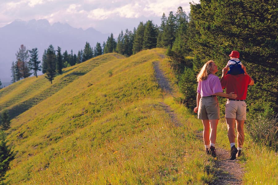 Two adults, one with a child perched on his shoulders, walks across a grassy ridge on a trail lined with evergreens