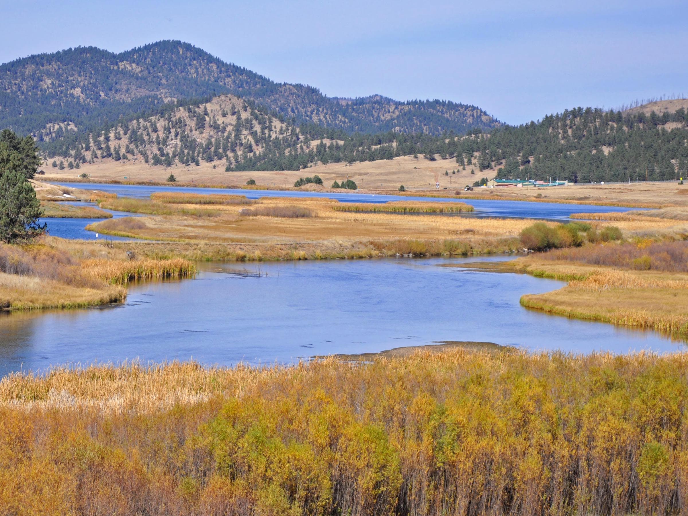 The blue Lake George with yellow reeds and grasses with an evergreen-covered mountain in the distance.