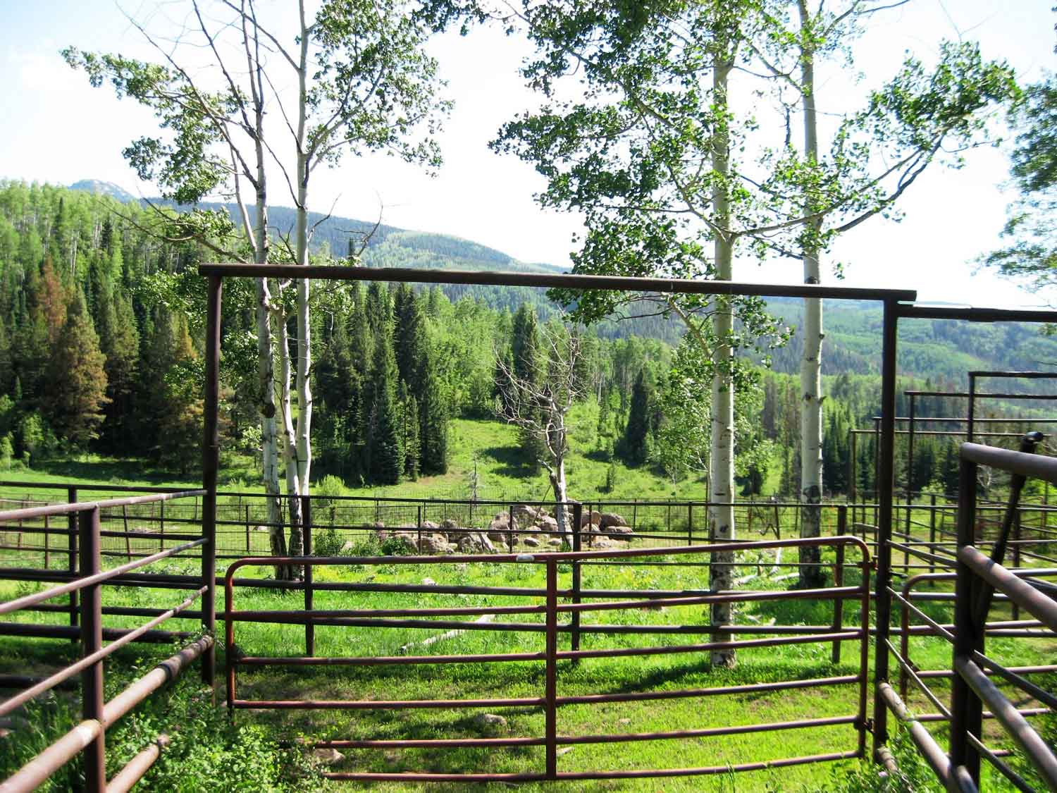 Livestock barriers along the byway