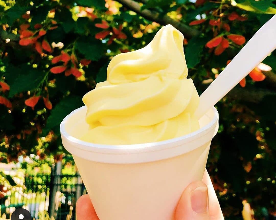 A white styrofoam cup is filled with a thick swirl of desert at Sweet Sweetz in Colorado.