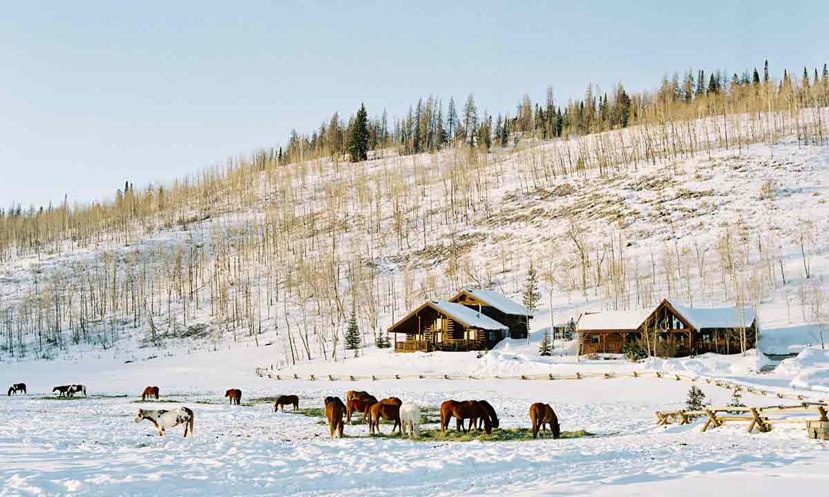 Horses graze on hay laid out in a snowy pasture in front of cabins and a hill at Vista Verde Ranch near Steamboat Springs.