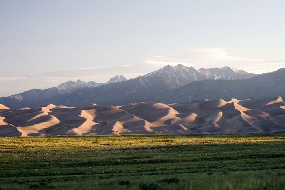 A grassy field lies before the tall, wavy dunes and the more distant mountain peaks of Great Sand Dunes National Park and Preserve.