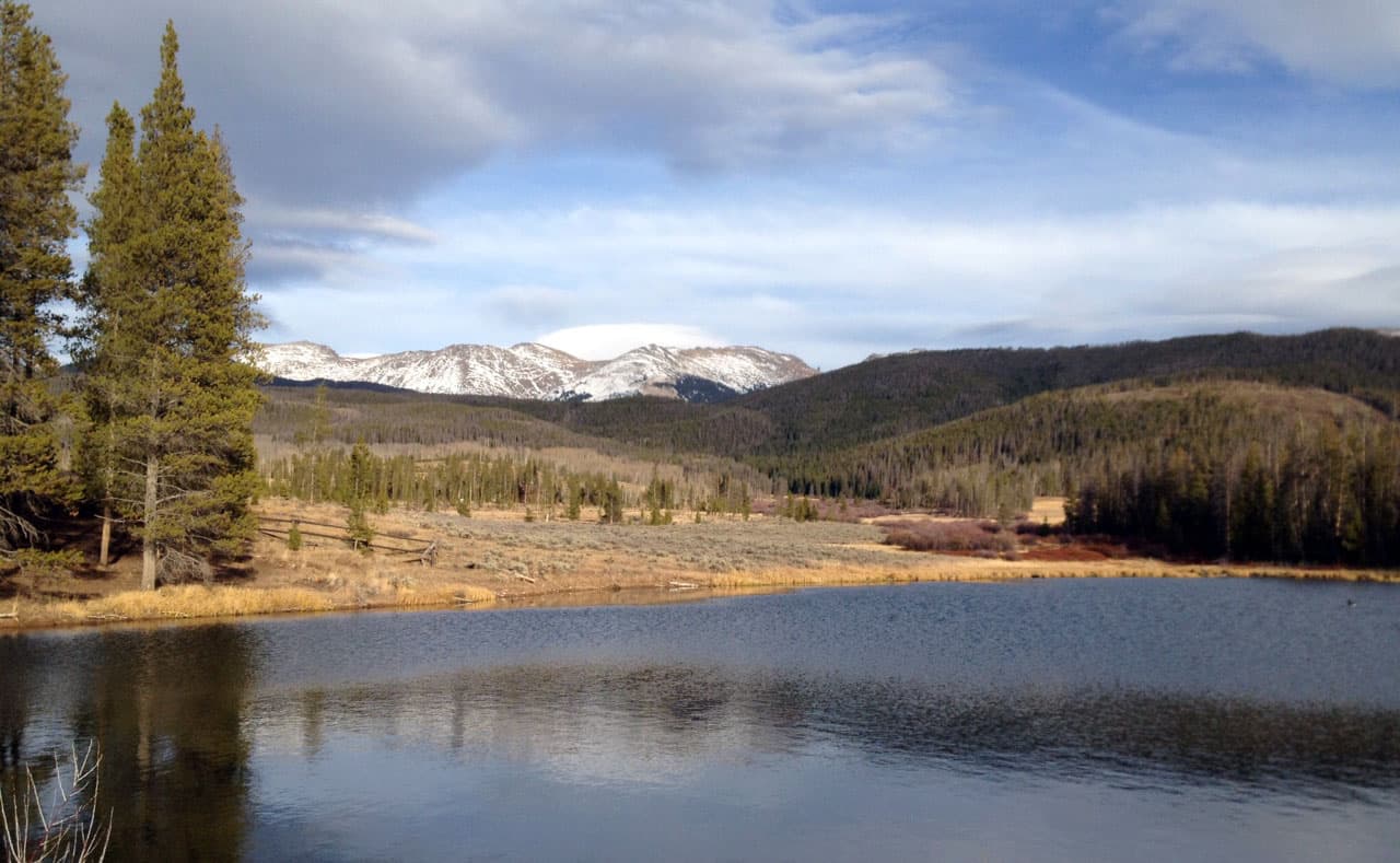 A lake sits with tall yellow grasses on its shoreline as well as evergreen trees. In the distance, snow-covered mountains sit under a blue sky.