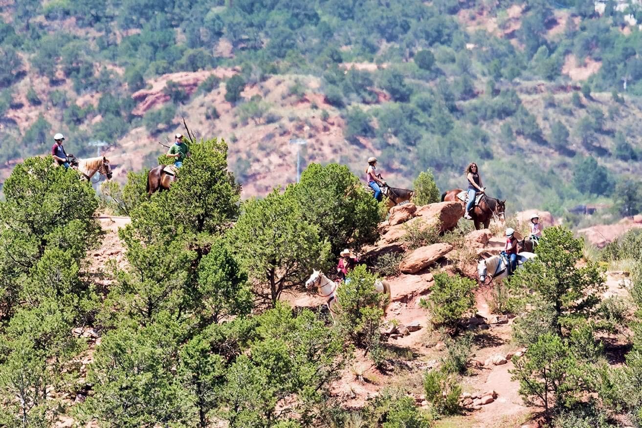 academy riding stables photo