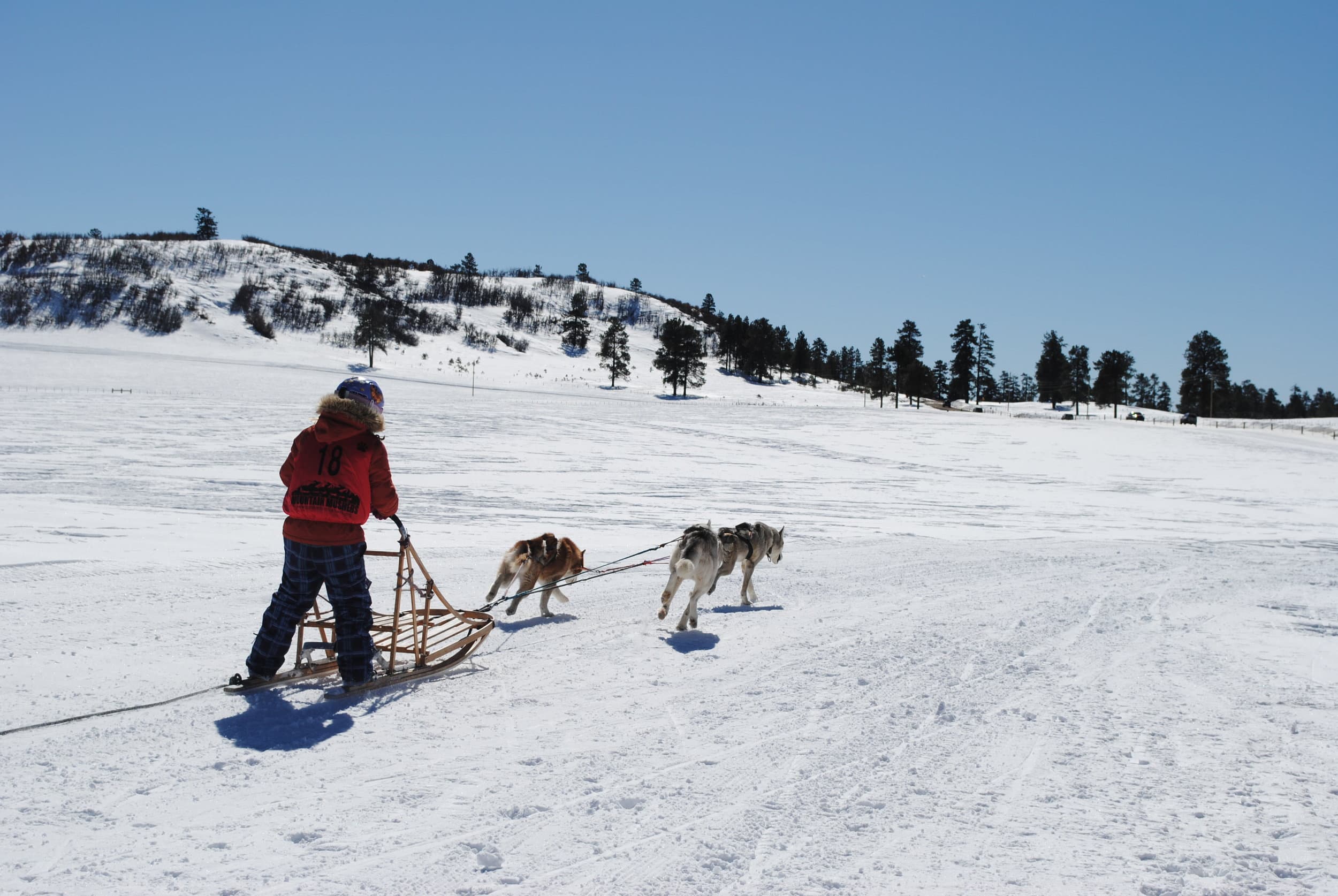 durango dog ranch photo