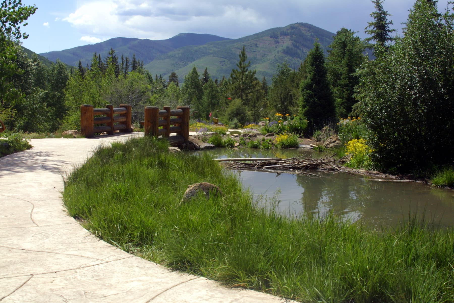 upper alpine pools at betty ford alpine gardens photo 7