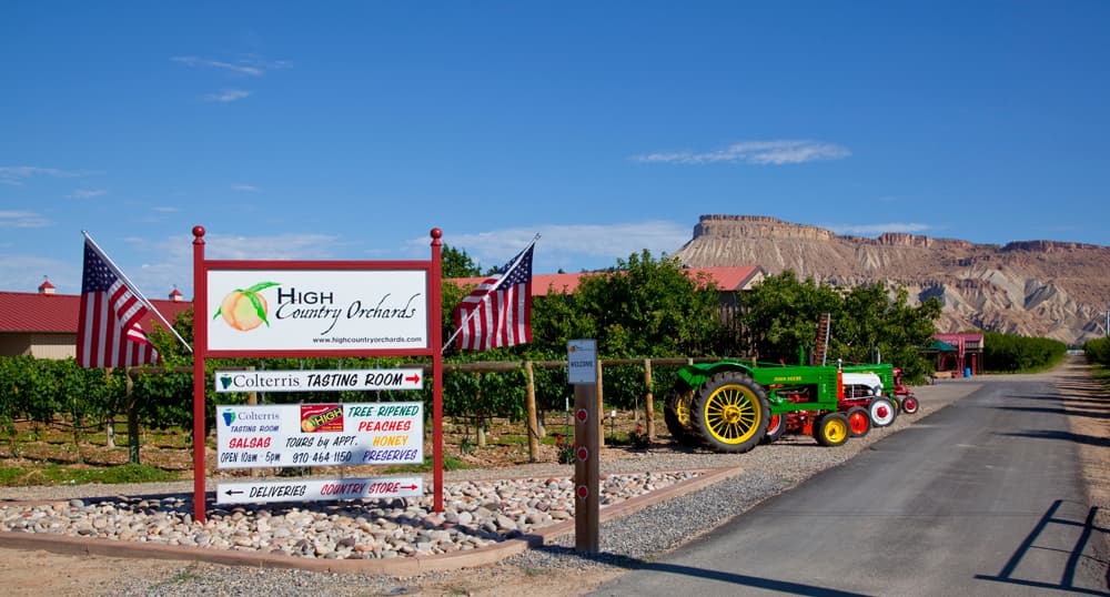 high country orchards & vineyards photo