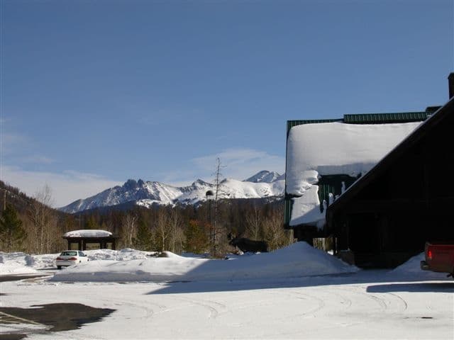 moose visitor center - state forest state park photo