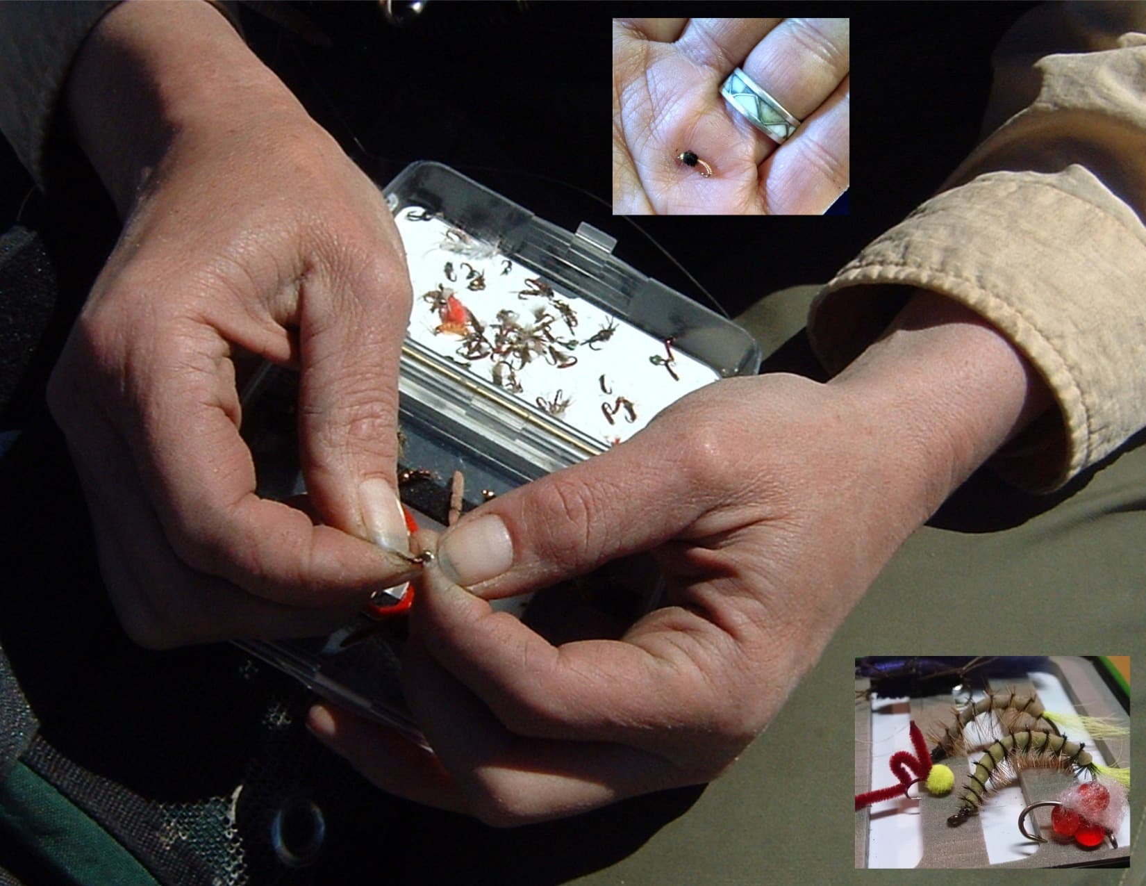 selecting appropriate flies for nice trout fishing photo