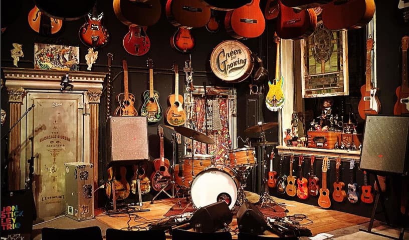 steve's guitars in carbondale photo