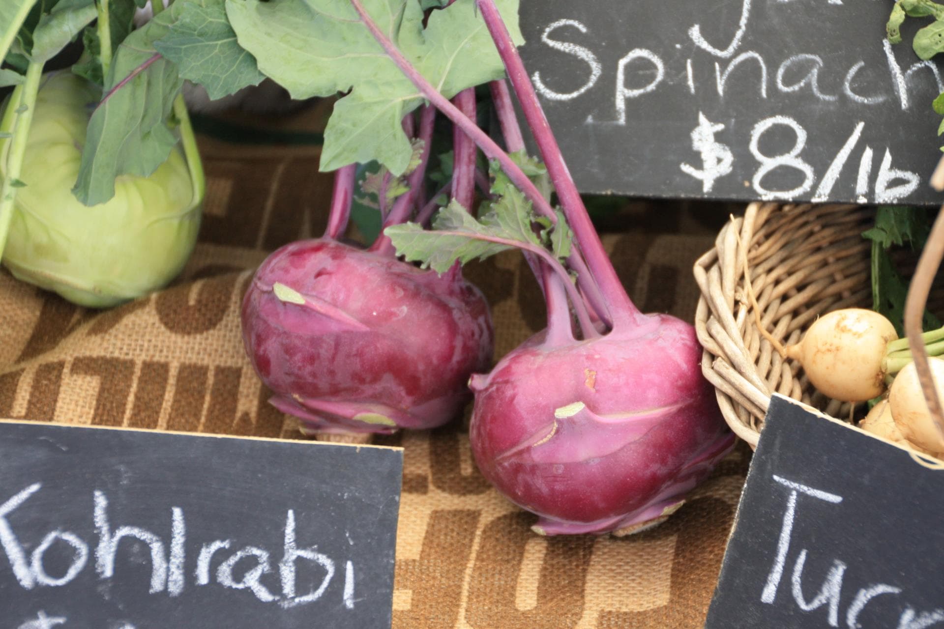 dillon farmer's market photo