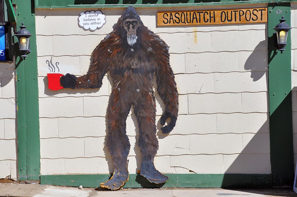 sasquatch outpost in bailey photo