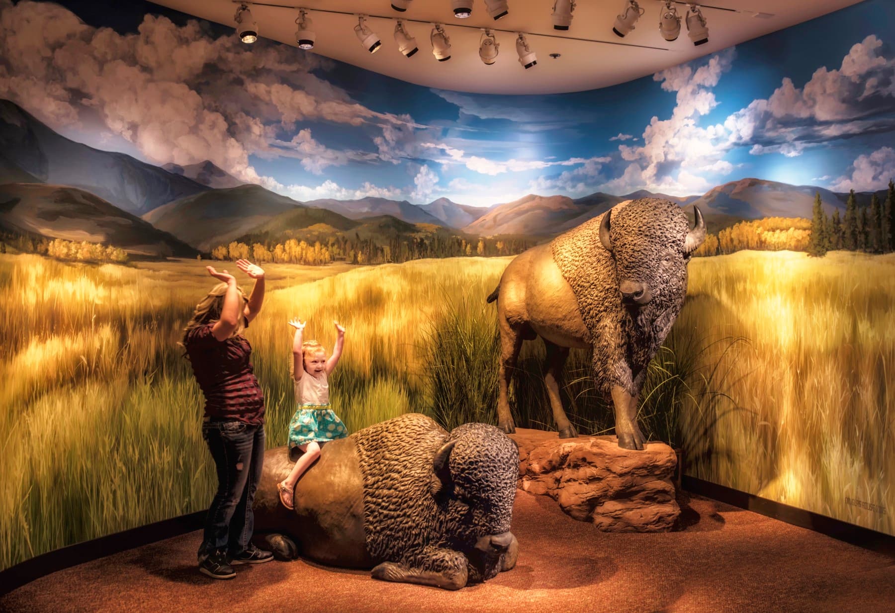 say hello to the buffalo exhibit photo 5