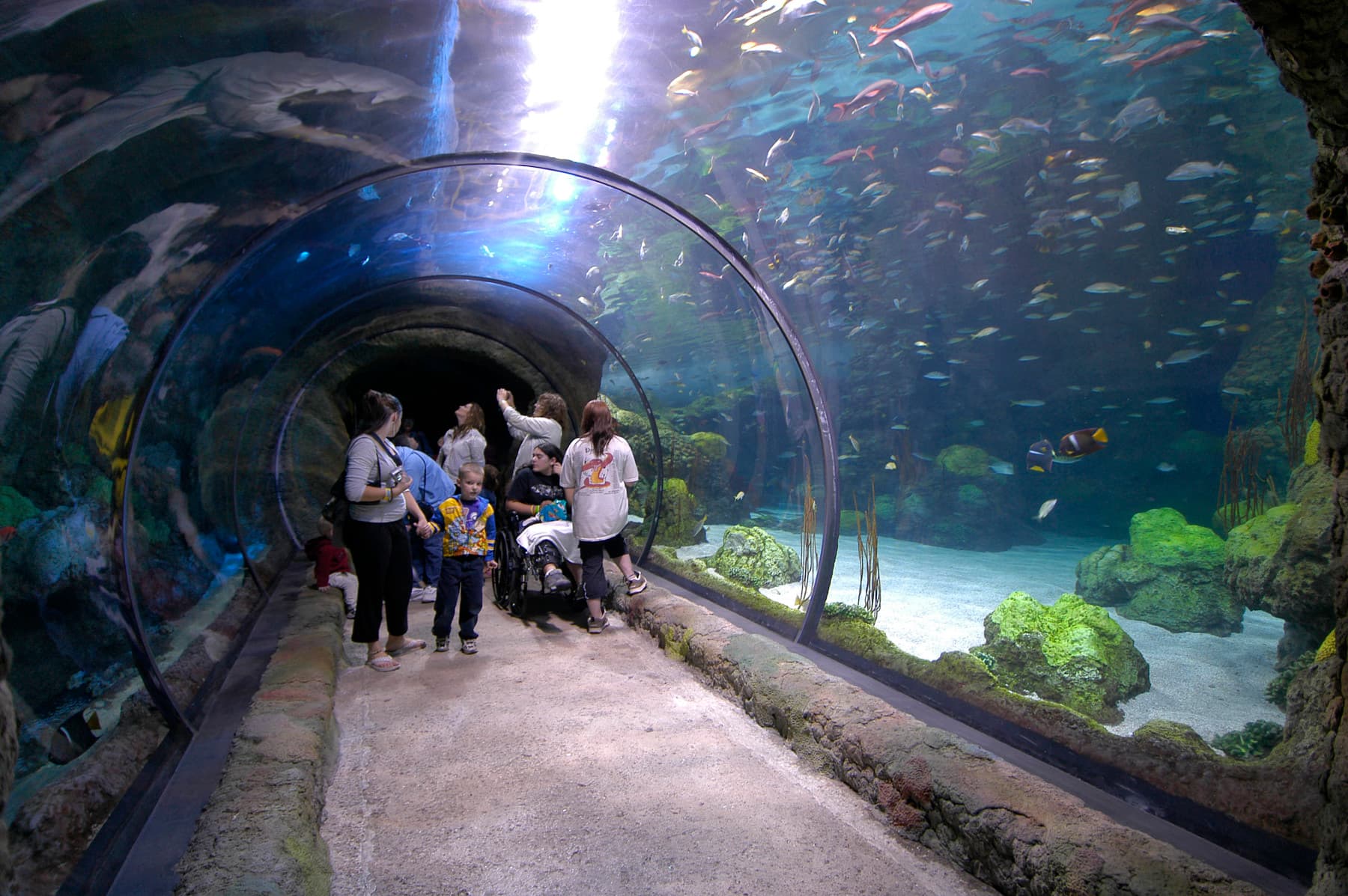 exhibits at downtown aquarium in denver photo 3