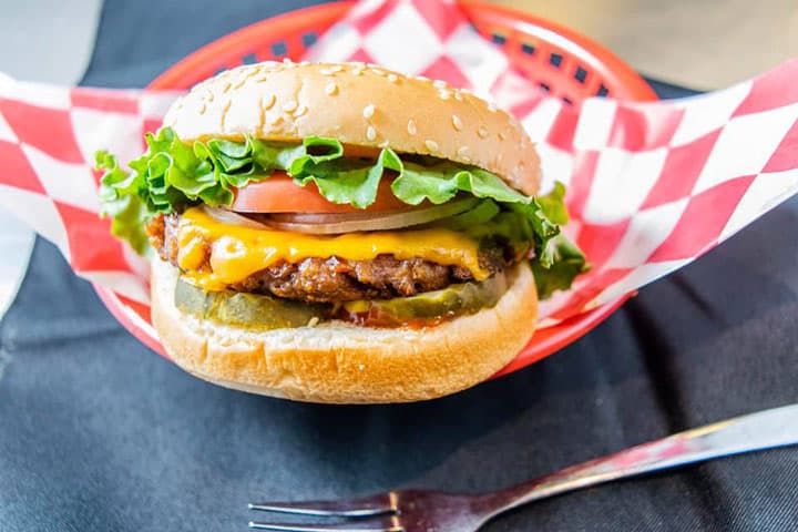 vegan cheeseburger at santana's vegan grill photo