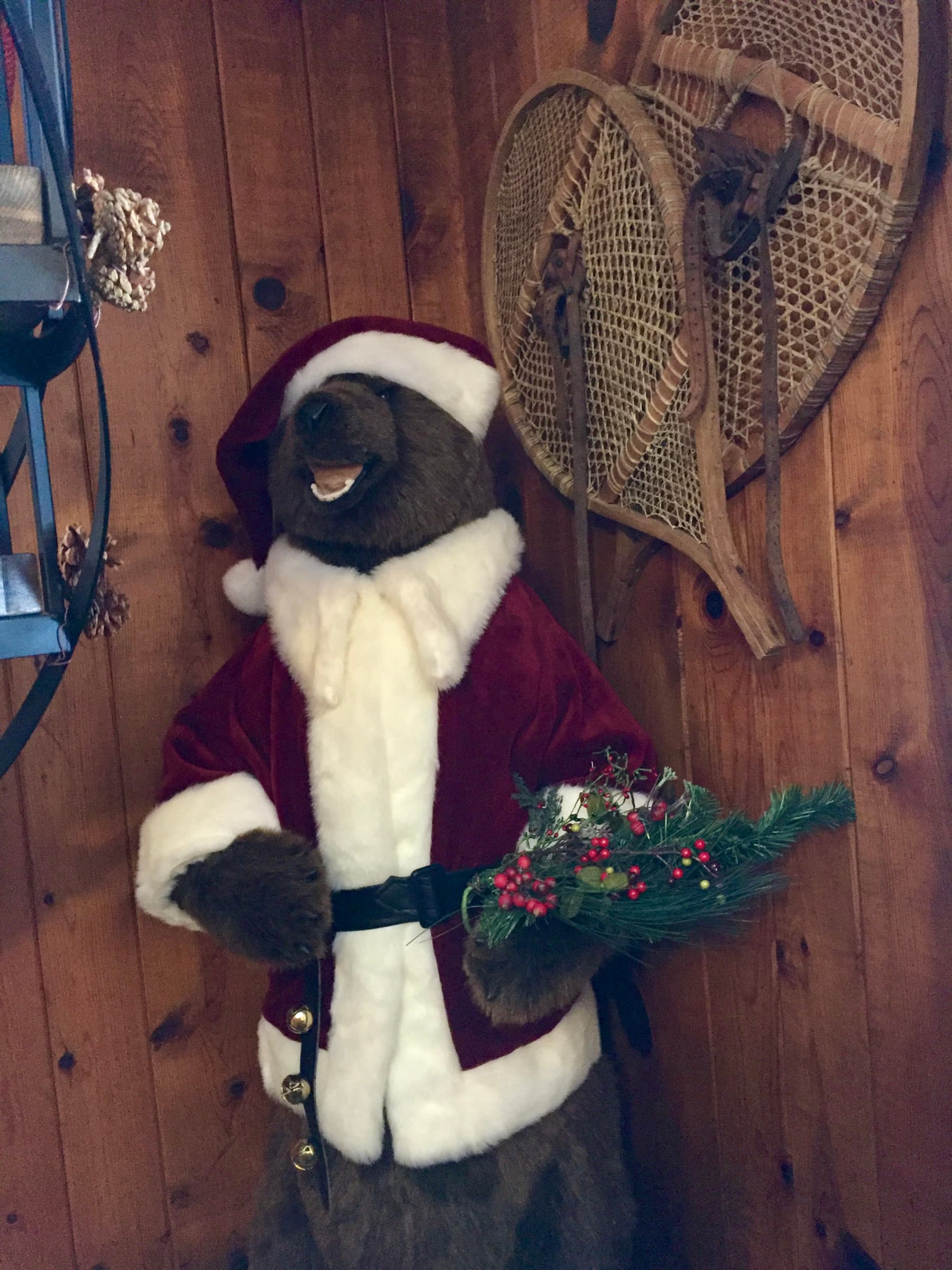 riverview cabin christmas bear photo 16