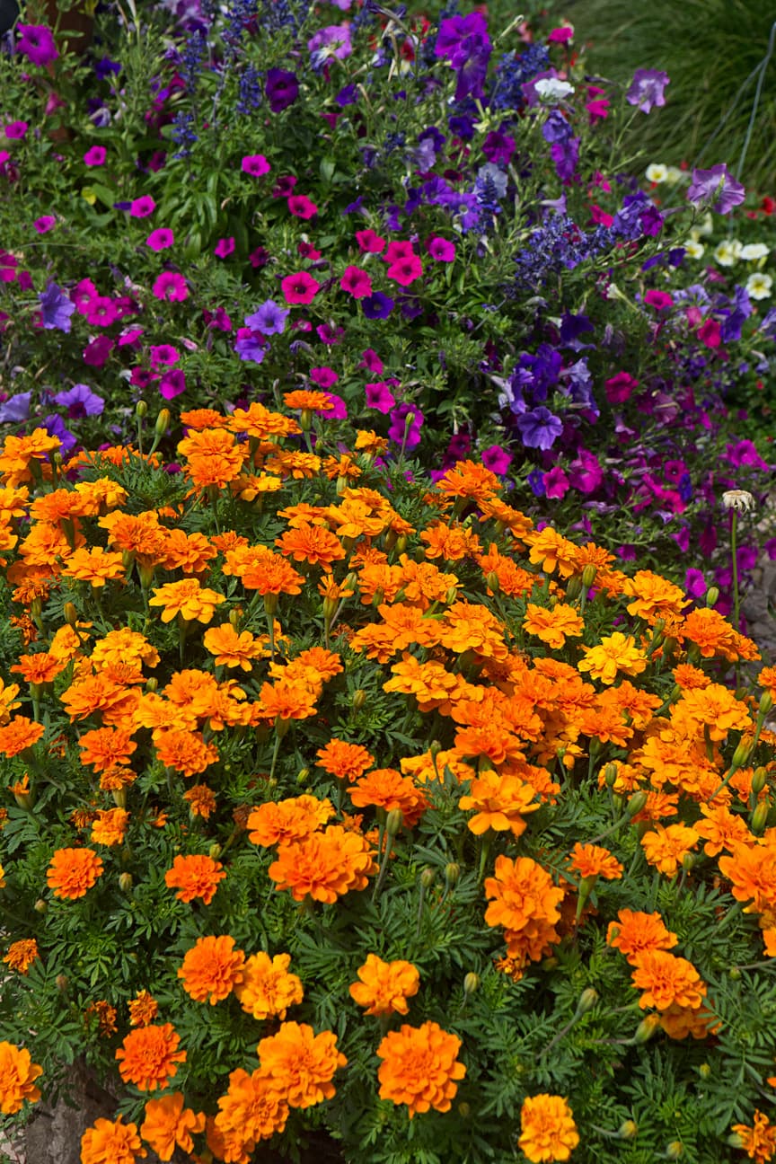 beautifully manicured grounds enhance the relaxed atmosphere at the inn. photo 9