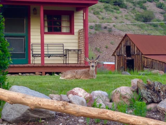 historic cottage with guest photo 4