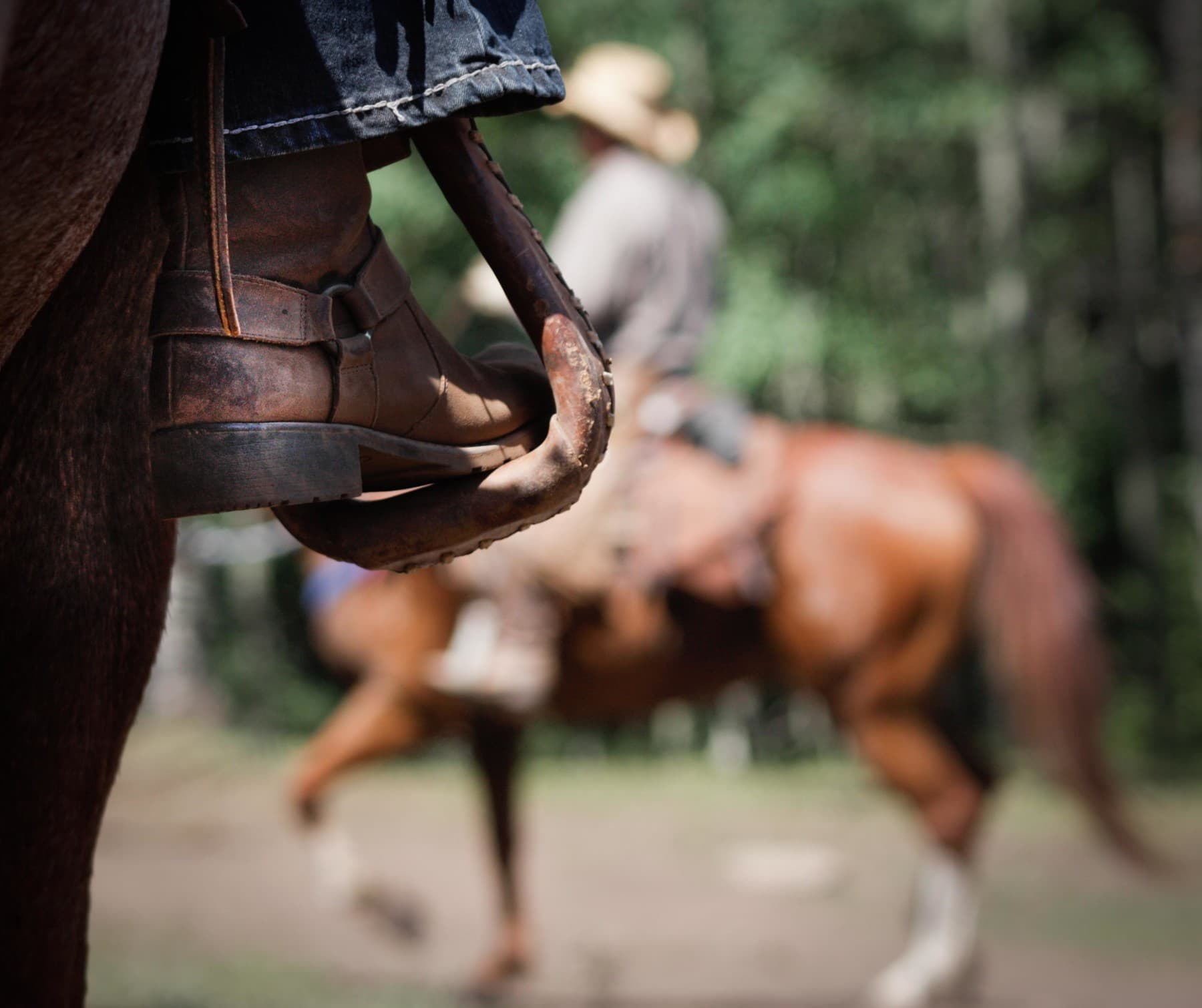 black mountain colorado dude ranch photo
