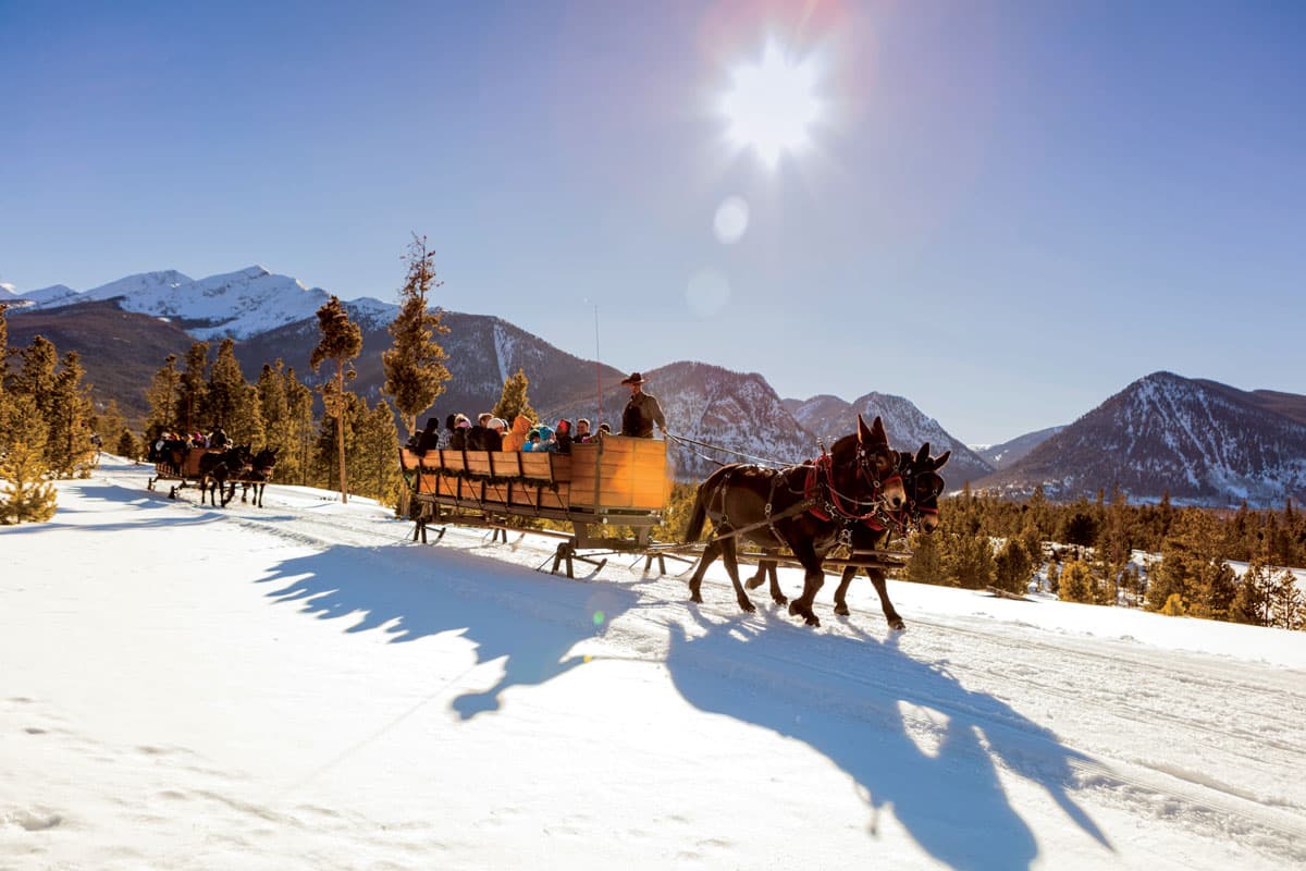 Mules pull sleighs over snow under bright sunny skies with mountain peaks rising in the Colorado background.