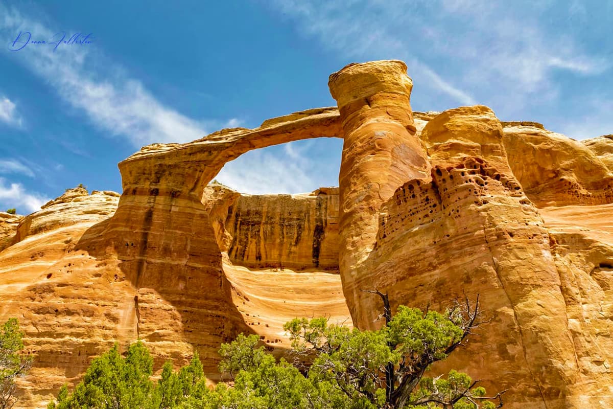 The large and curving arch of Rattlesnake Arch in Rattlesnake Canyons in McInnis Canyons National Conservation Area in Grand Junction. The formations jut and tower above shrubbery, with multi-colored brown and tan stripes through the sides of them. The sky above is blue and mostly clear.