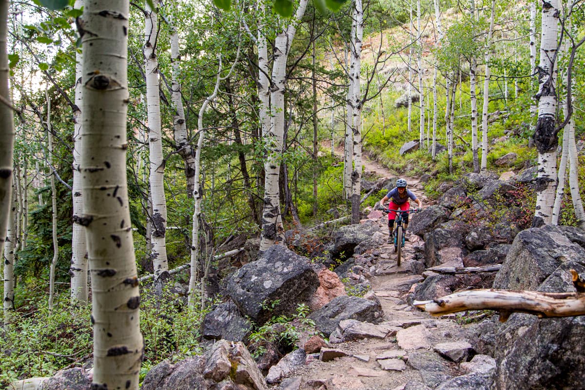 Mountain biking in the woods of 2 million acres of public lands in Gunnison Valley.