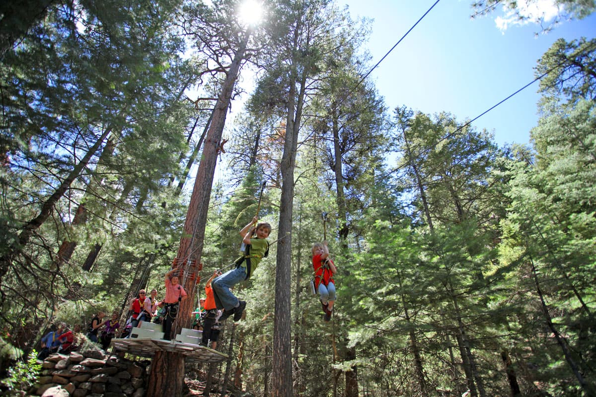 Two kids ziplining side-by-side and surrounded by tall trees at Soaring Tree Top Adventures.
