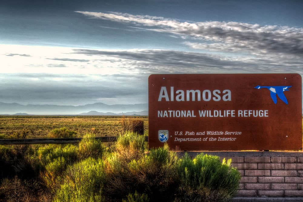 A sign reads Alamosa National Wildlife Refuge with desert plants and a blue sky in the background