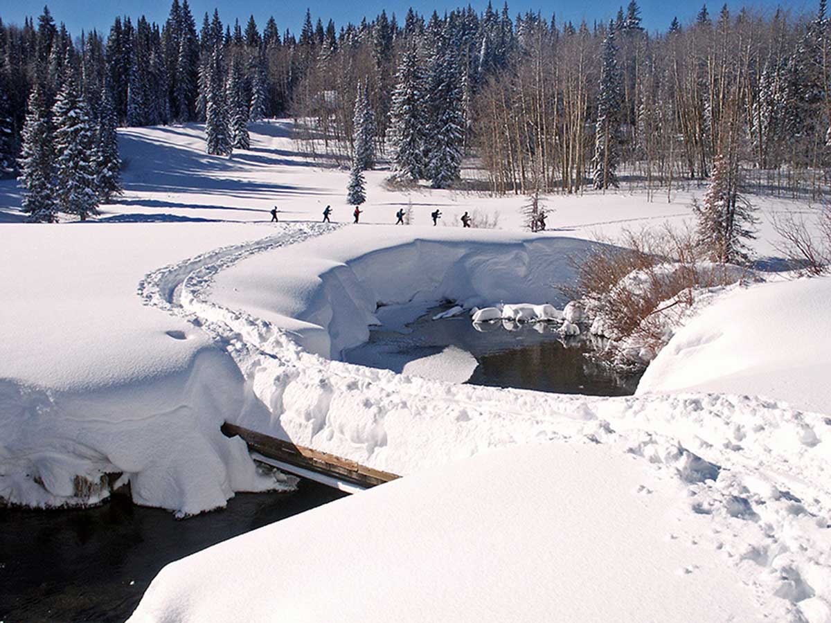 A group of nordic skiers trace a snowy path over a bridge and into some woods