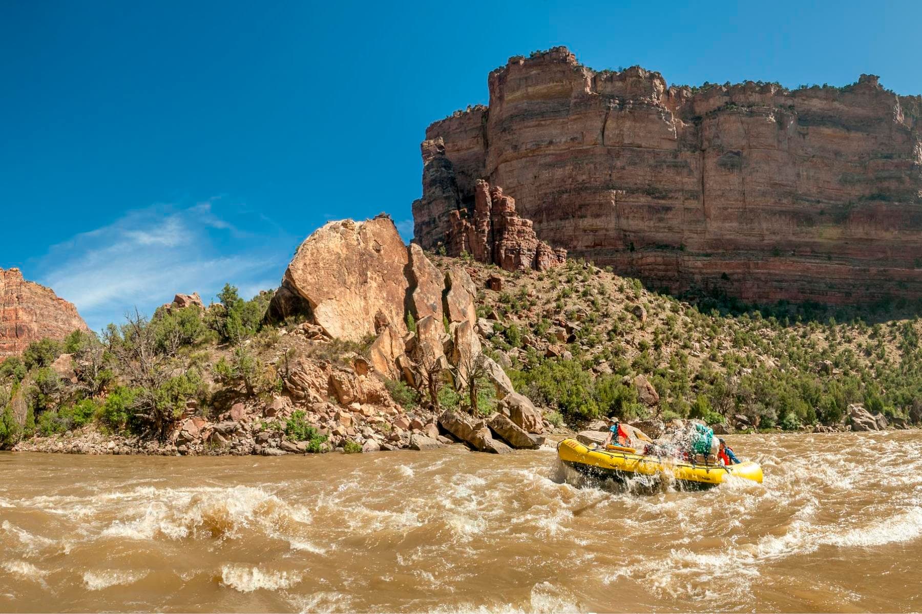 yampa river rafting with oars photo 3