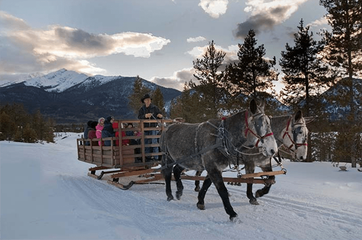 2 below zero sleigh rides in frisco photo