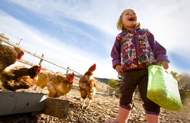 sustainable settings in carbondale photo