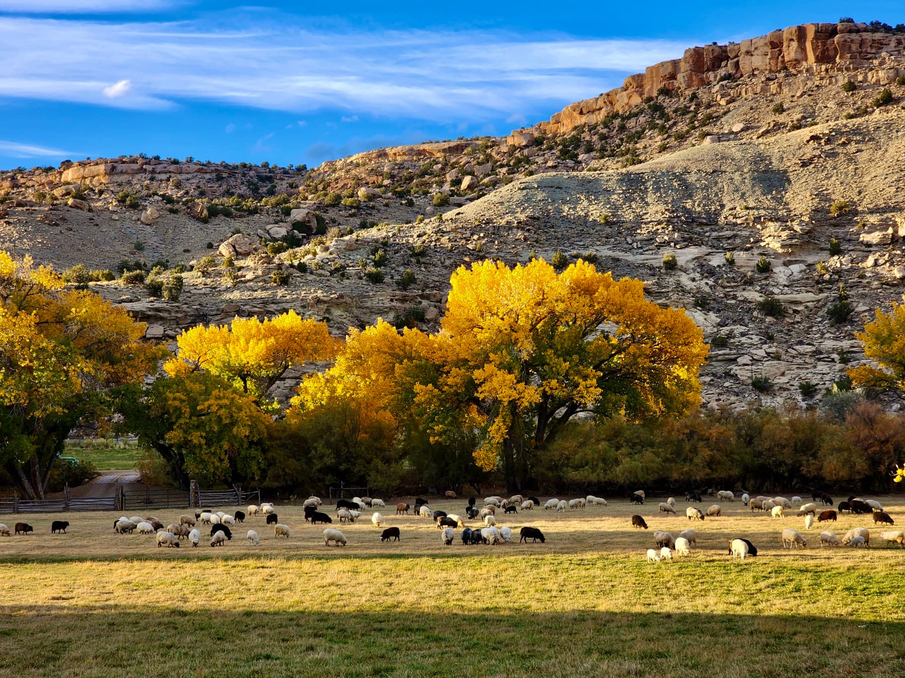 canyon of the ancients guest ranch photo 13