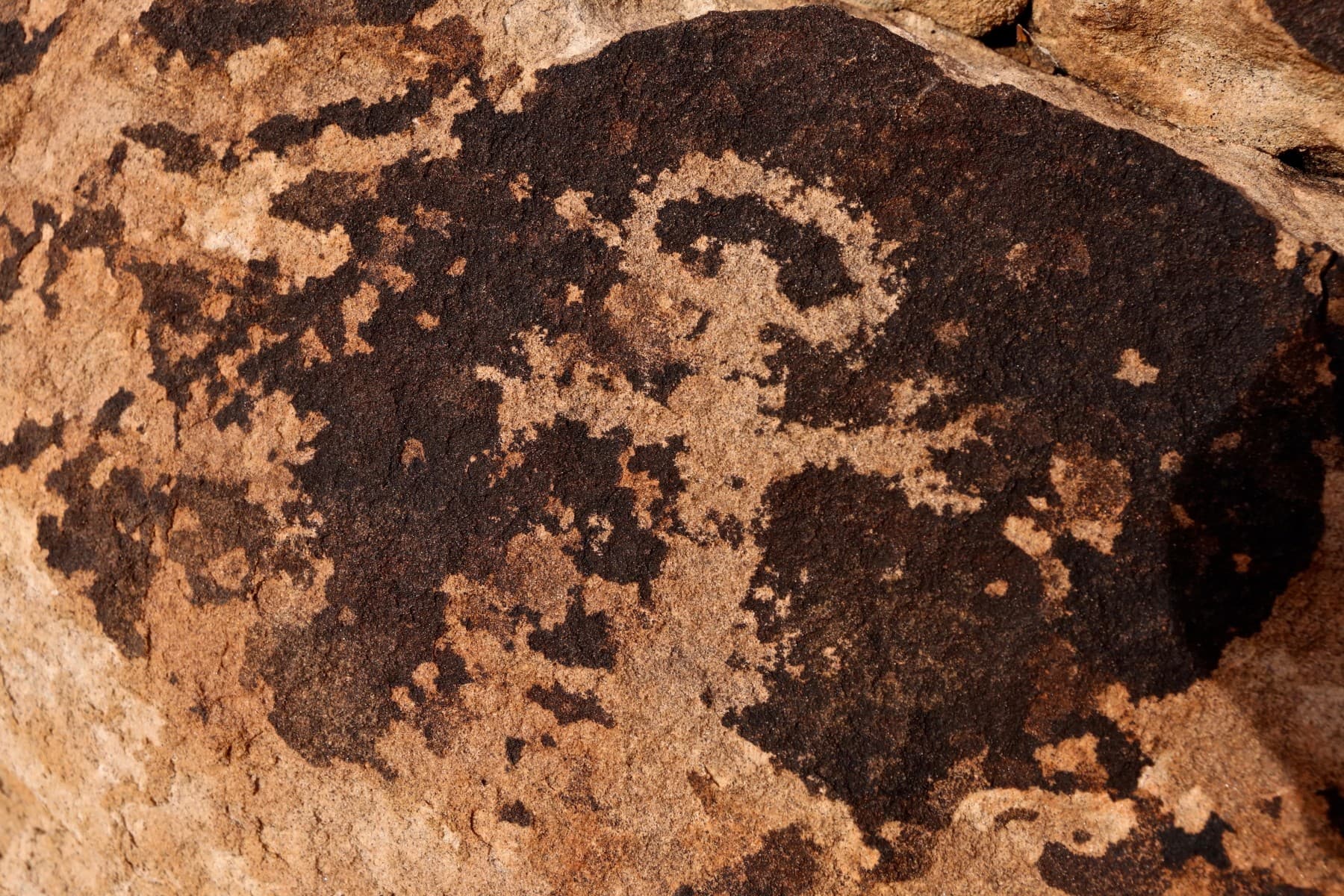 canyon of the ancients guest ranch photo 15