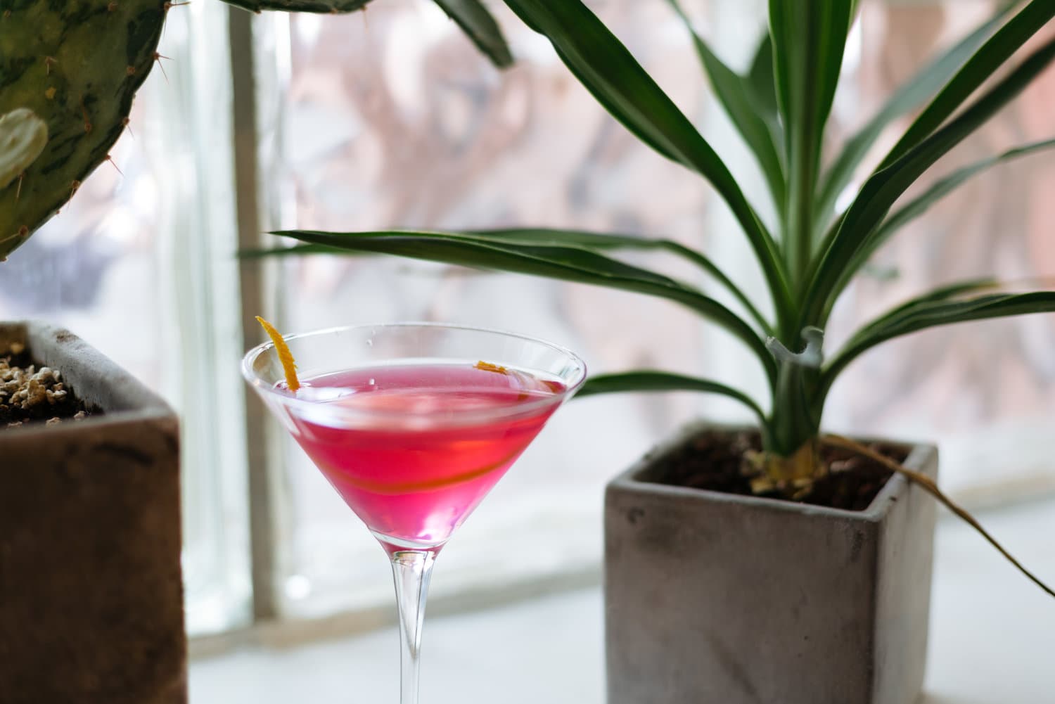 dry land distillers photo