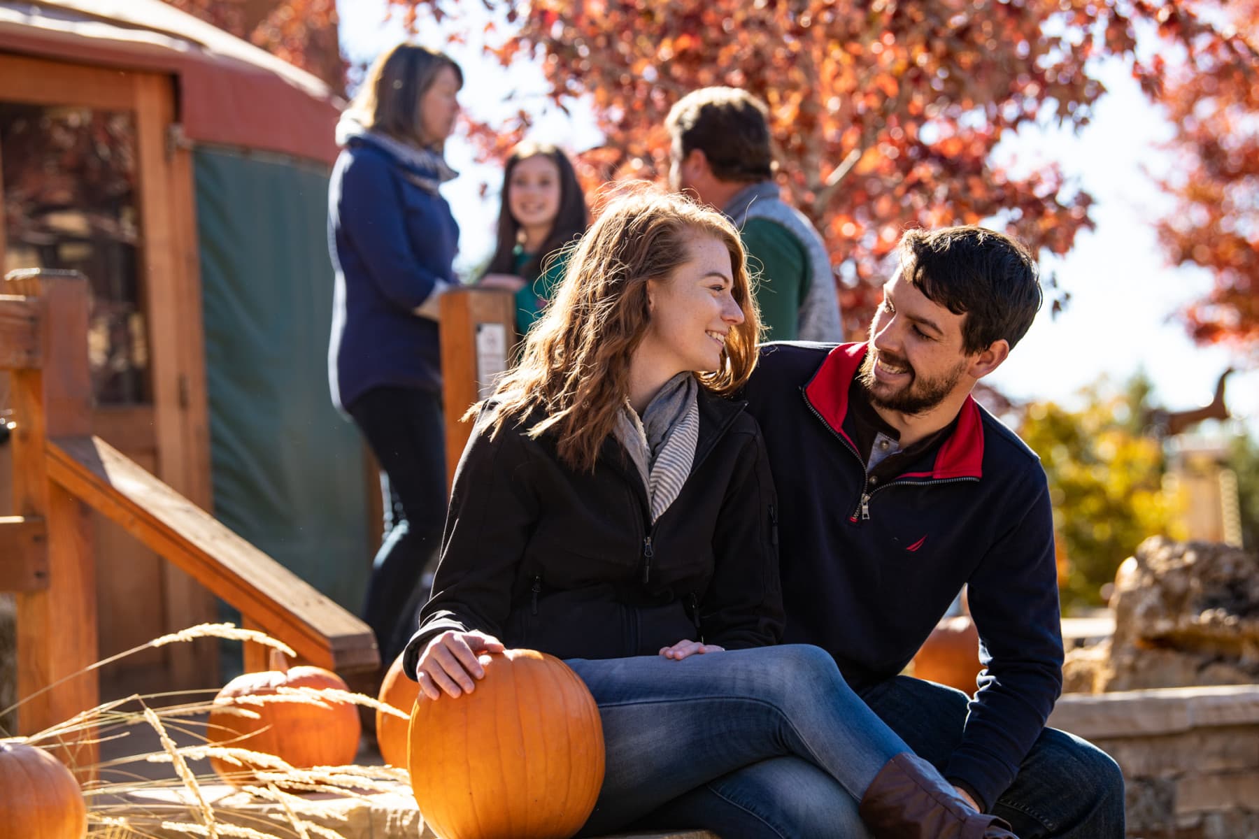 glenwood caverns adventure park photo