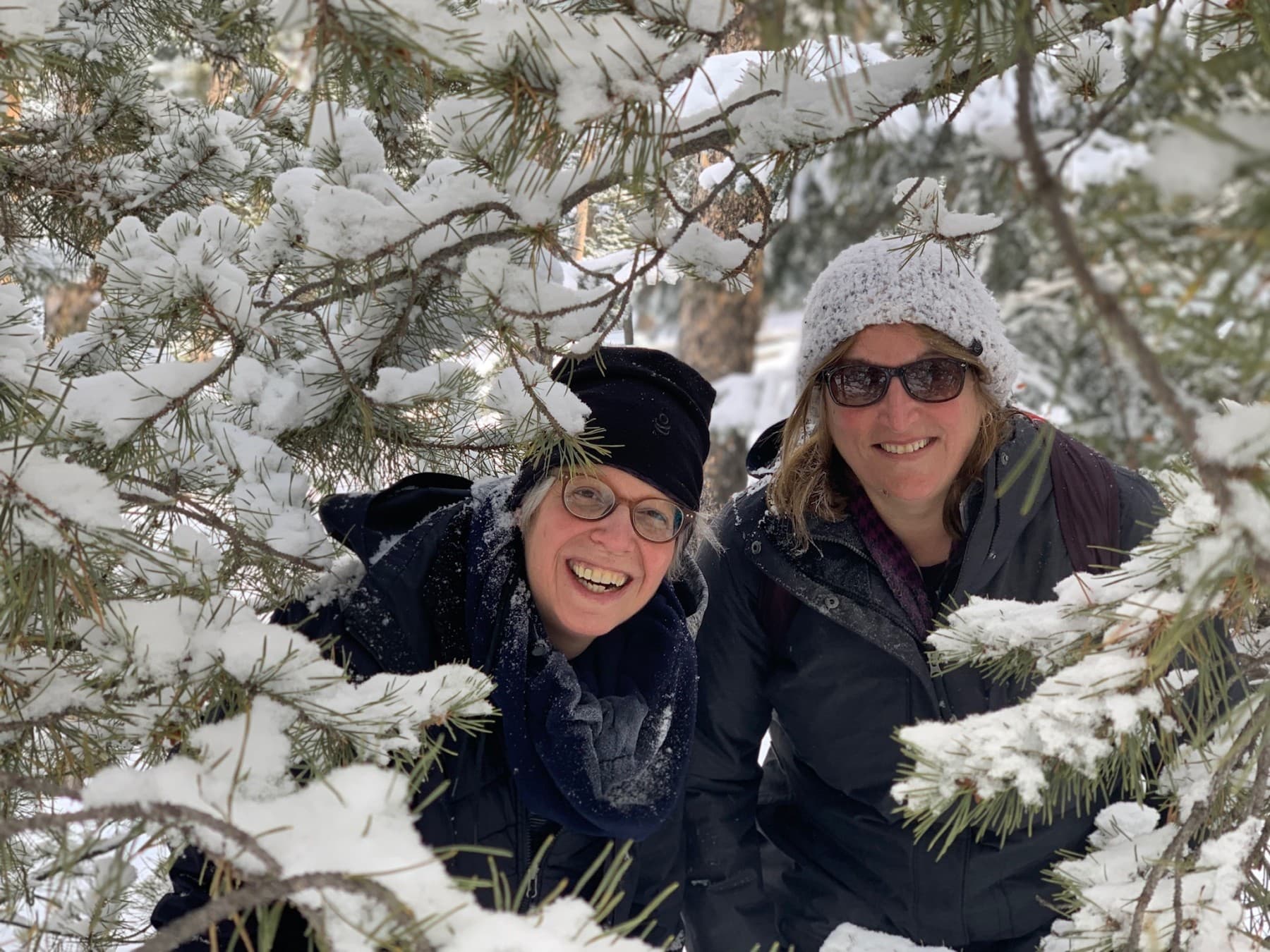 snowshoe with family and friends! photo 17