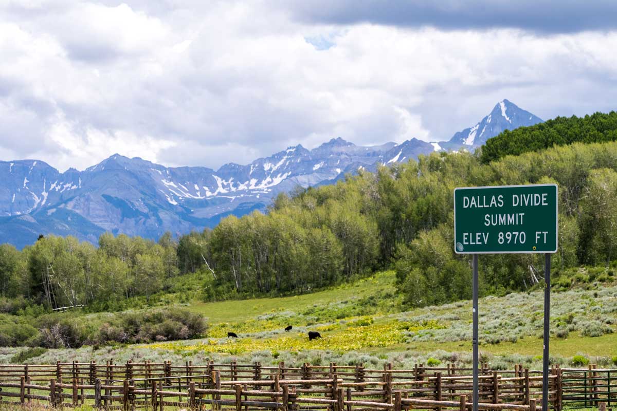 A highway sign denotes the elevation of the Dallas Divide Summit. In the distance, gray snow-capped mountains stand tall over a aspen forest near Ridgway, Colorado. 